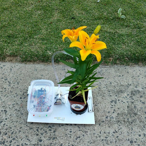 Kit Arduino Irrigação Autônoma DIY - Educação Maker